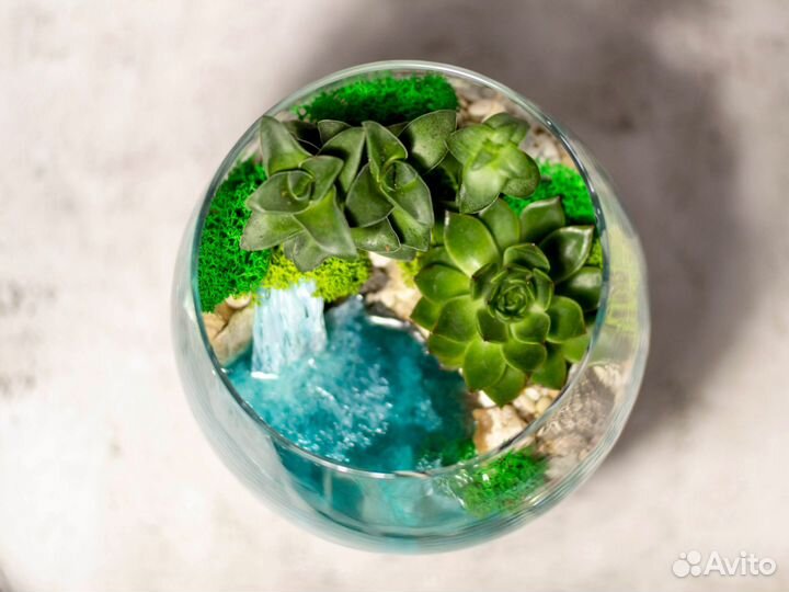 Флорариум из суккулентов