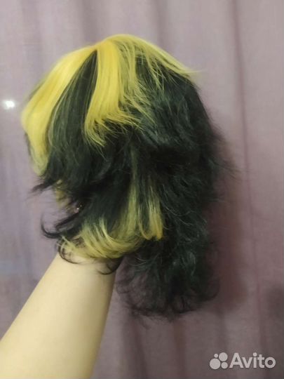 Парик Казутора