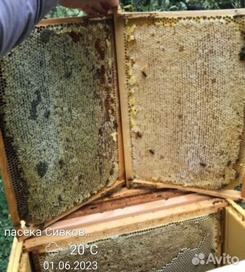 Мёд натуральный