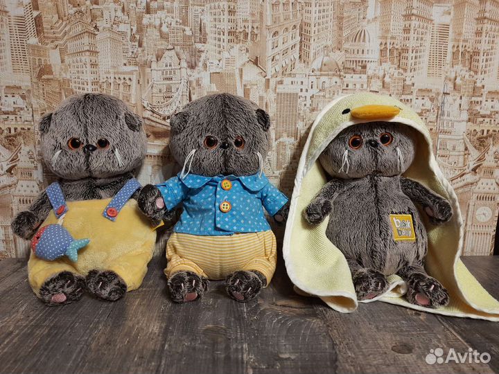 Кот Басик и Кошечка Лили