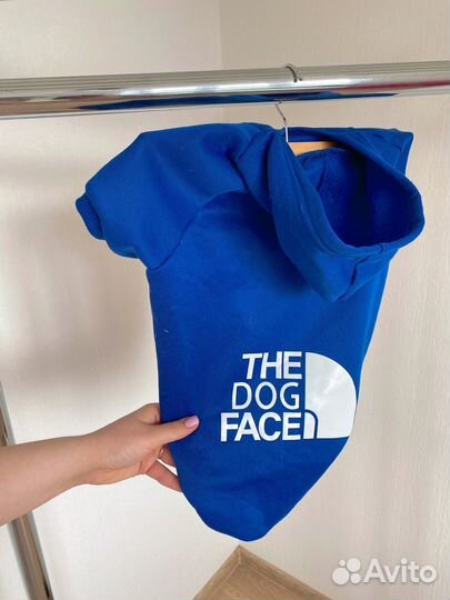 Худи для собак средних пород