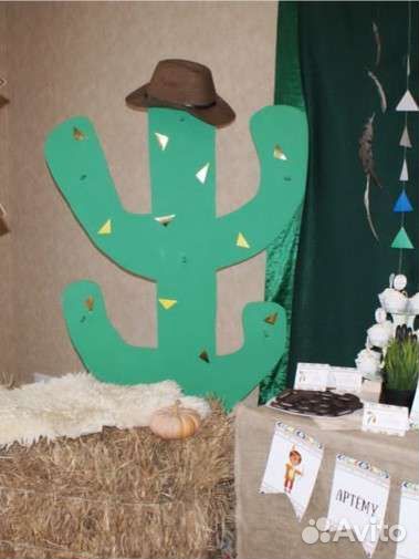 Кактус для фотосессии