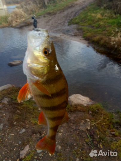 Силиконовые приманки и мормышки