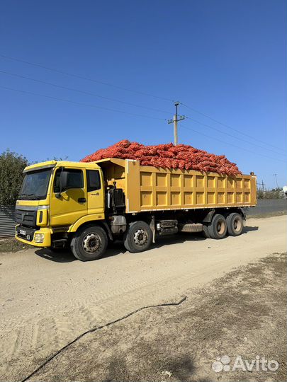 Foton Auman BJ33xx, 2008