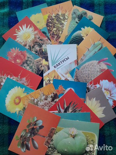 Наборы открыток