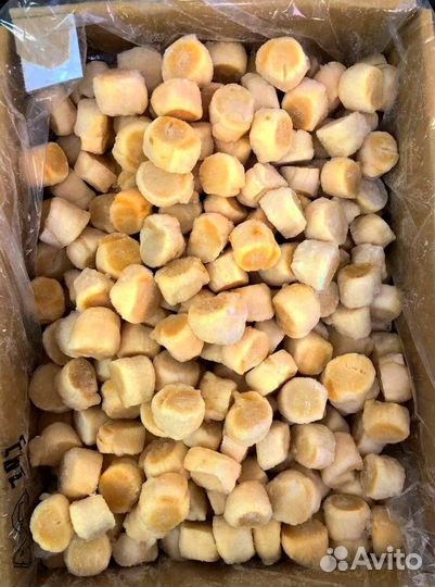 Оптом Гребешок Сахалинский