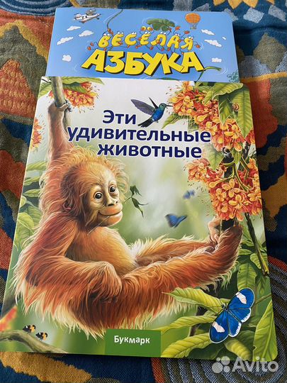 Набор интерактивных книг Букмарк