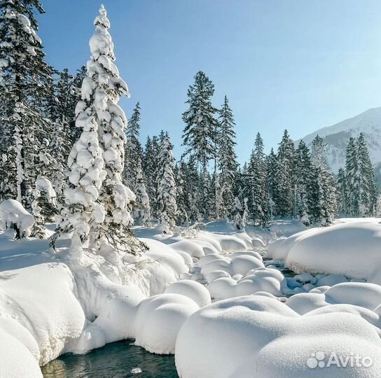 Тур в дом на Мамай