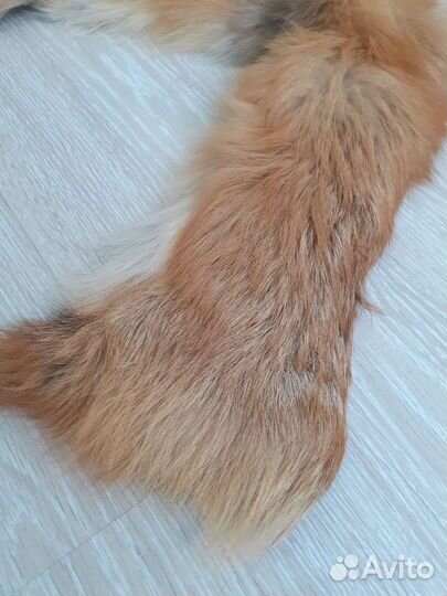 Воротник-горжета лиса