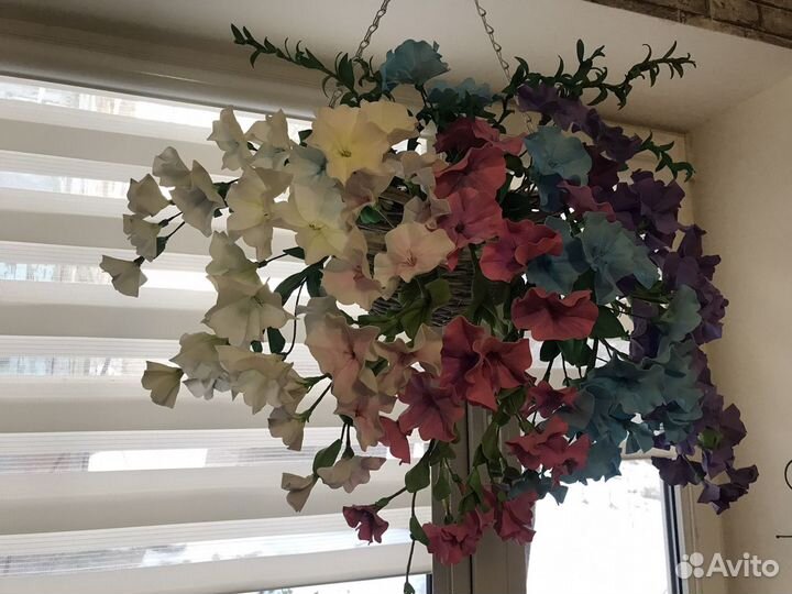 Петуния в кашпо