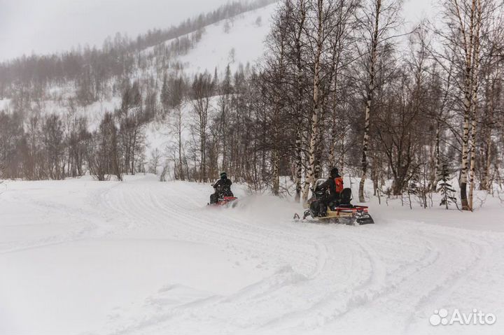 Снегоход aodes Snowcross 1000 SWT черно-красный