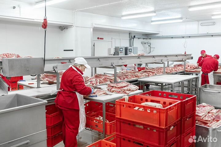 Разнорабочий с ежедневной оплатой