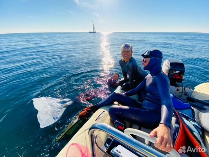 Экскурсия Сочи Экспедиция К Черноморским Дельфинам