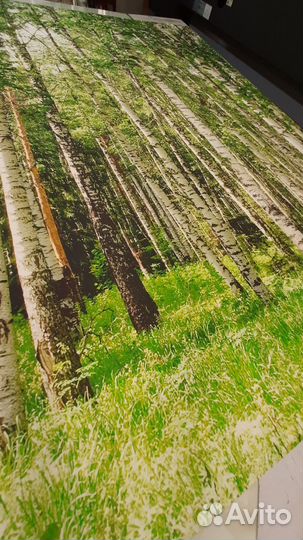 Фотообои #Роща