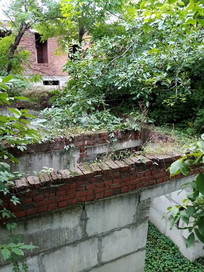 Участок 8 сот. (ИЖС)