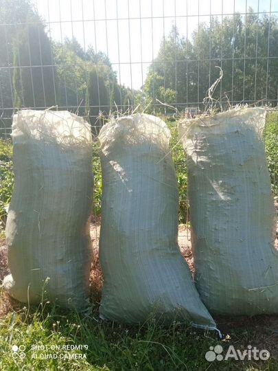 Луговое сено в мешках