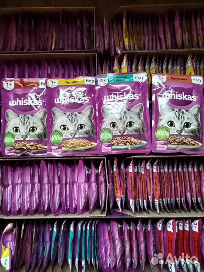 Кошачий корм влажный