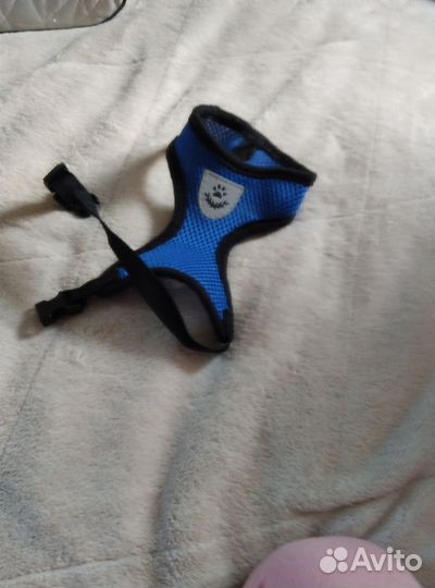 Жилетка для котов