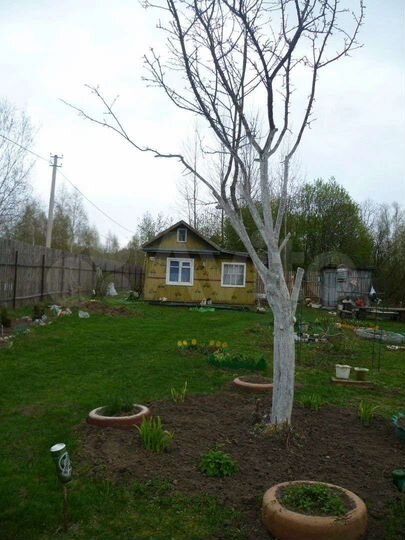 Дача 34 м² на участке 9 сот.