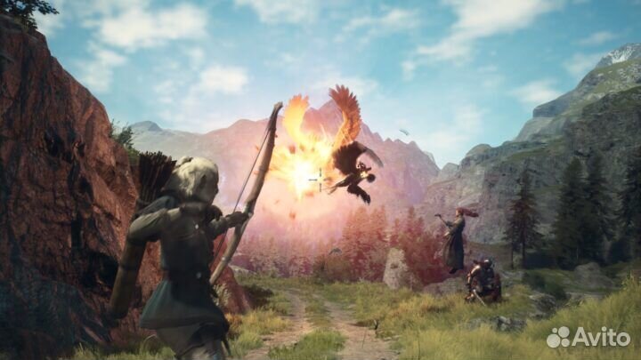 Dragons dogma 2 w-6316