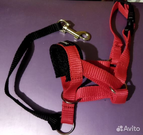 Халти для собак