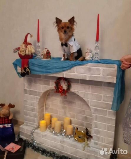 Камин,фото зона