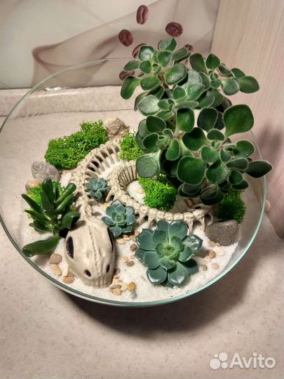 Флорариум, моссариум, композиция, цветы