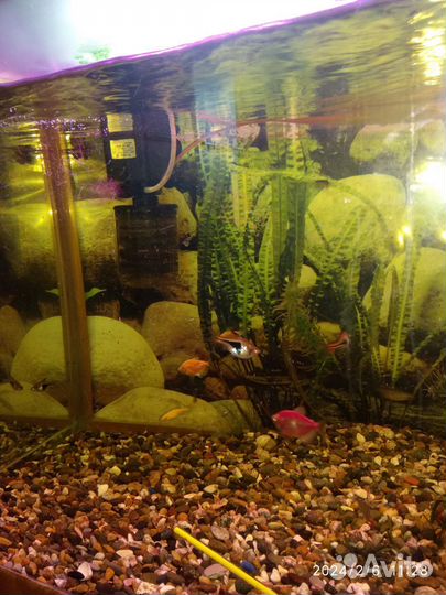 Аквариум