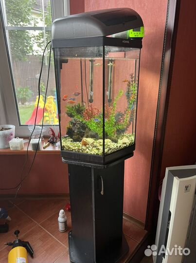 Аквариум