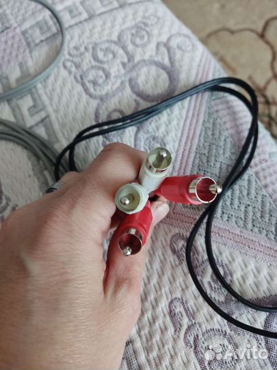 Тюльпаны провода