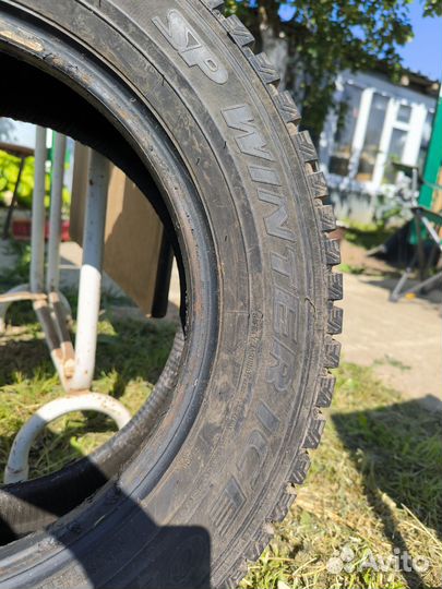 Dunlop SP Winter Ice 01 195/65 R15