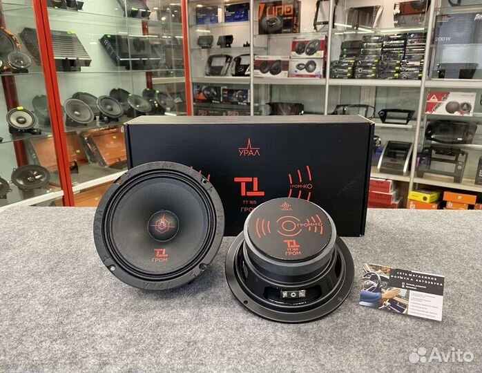 Акустика эстрадная Ural Урал TT 165 гром