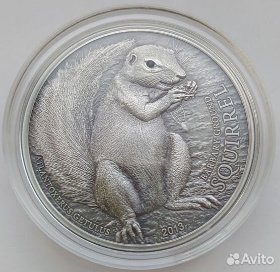 Палау 5 долларов 2013 Белка Серебро Тираж - 1000шт