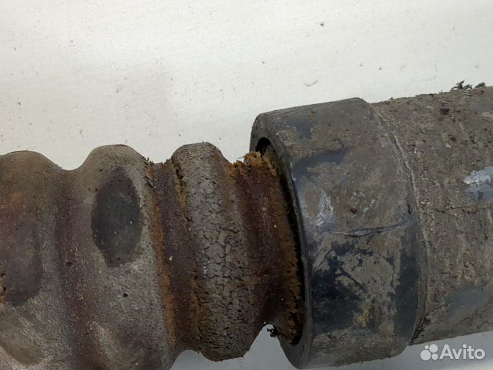 Амортизатор подвески Ford C-Max, 2007