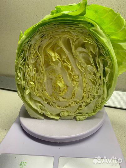 Капуста молодая