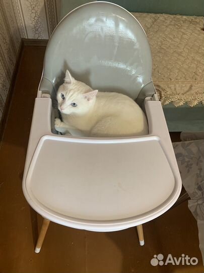 Столик для кормления babyton