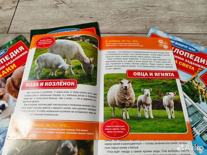 Энциклопедия для малышей 6шт