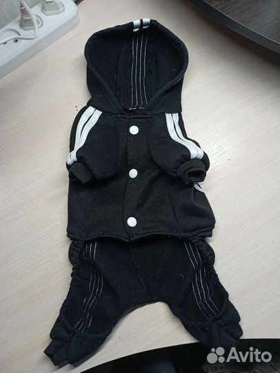 Одежда для собак