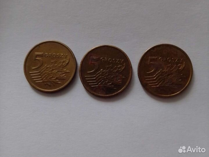 5 грош Польши