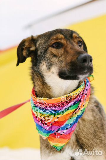 Юный Люк ждет свою семью