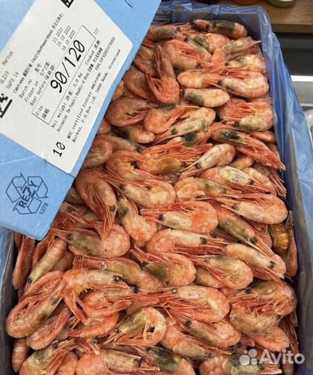 Креветки северные, магаданские и др