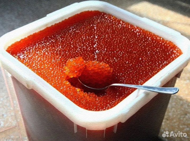 Красная Икра Форели