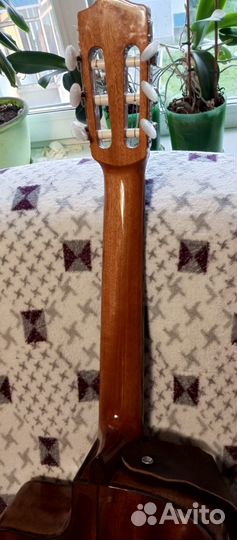 Cordoba Iberia C5-CE SP, ель-махагон + кейс