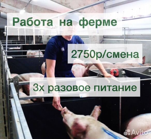 Вахта по уходу за животными