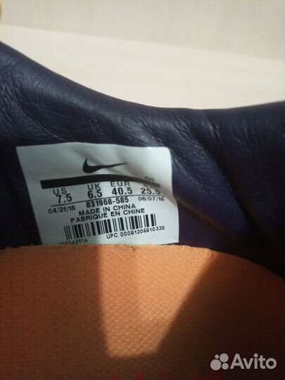 Сороконожка