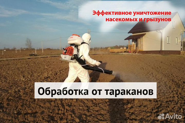 Уничтожение клопов тараканов грызунов блох клещей