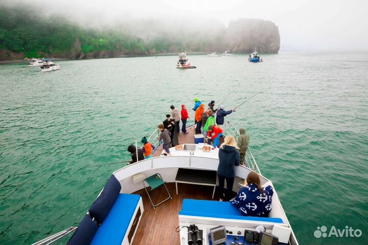 Морские прогулки, рыбалка, многодневные туры