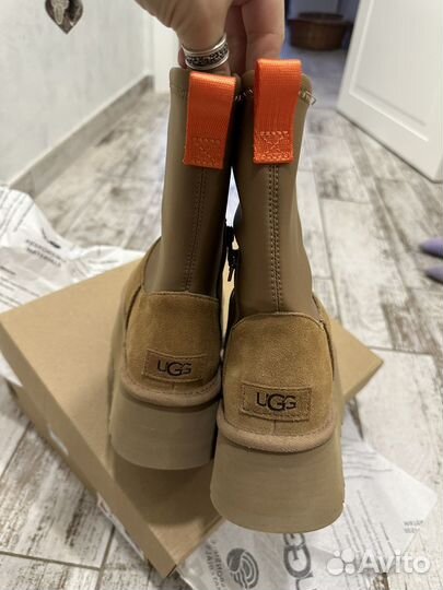 Сапоги Ugg