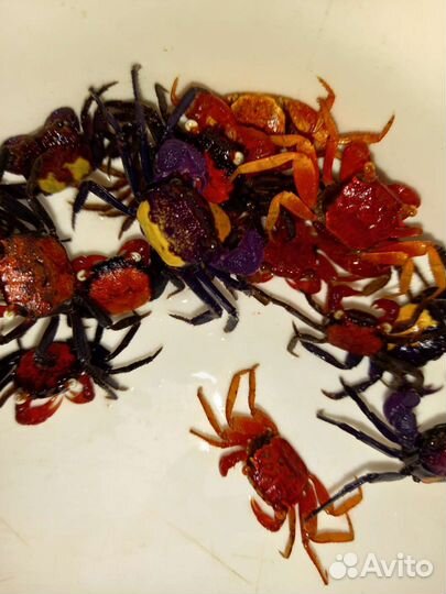 Крабики мини