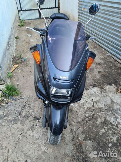 Максискутер